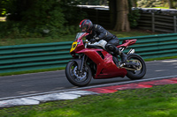 cadwell-no-limits-trackday;cadwell-park;cadwell-park-photographs;cadwell-trackday-photographs;enduro-digital-images;event-digital-images;eventdigitalimages;no-limits-trackdays;peter-wileman-photography;racing-digital-images;trackday-digital-images;trackday-photos